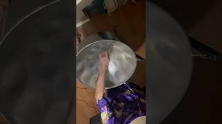 Señorita on Steel Pan and Zendrum [upl. by Dell]