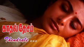 Kadhal Desam Movie Songs  Thendrale Song  Abbas  Vineeth  Tabu  Vadivelu  ARRahman [upl. by Yhprum]