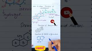 Structure of steroid nucleus purine and pyrimidine [upl. by Duggan627]