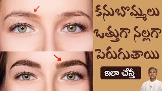 Oil to Grow Thicker Eyebrows Faster  Get Thick Eyebrows Naturally  Dr Manthenas Beauty Tips [upl. by Yesnnyl]