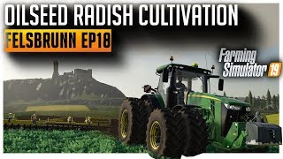 Oilseed Radish Harvest amp Cultivation  Lets Play Farming Simulator 2019 Ep18 [upl. by Michaeline]