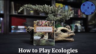 How to Play Ecologies [upl. by Reba]