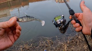 BIG River Perch UK Lure Fishing [upl. by Yunfei]