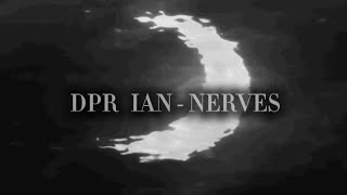 dpr ian  nerves slowedlyrics [upl. by Jecoa]