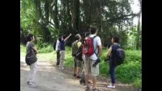 Bird Watching at Bukit Brown Cemetery [upl. by Akibma953]