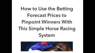 Horse Racing Forecast System [upl. by Helena]