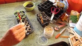 How to GrowStart Tomato Seeds Indoors in Peat Pellets  The Rusted Garden 2014 [upl. by Anahc]