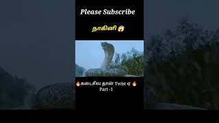 Snake revenge PT1🐍amil voice over shorts ytshorts trendingshorts tamilvoiceover mysterydiv [upl. by Ettenotna]