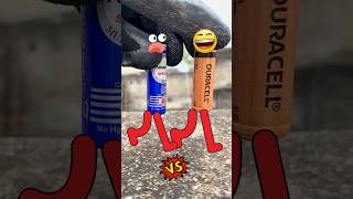 Duracell VS Panasonic  कोण ज्यादा चलेगा 🥵 experiment shorts short [upl. by Smitt512]