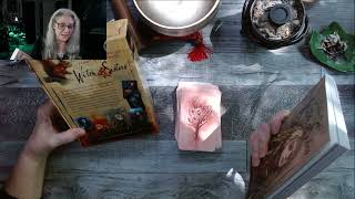 GIFT Reading Witch Sister Tarot Unboxing and Test Drive [upl. by Nemrac116]