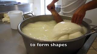 Making Mozzarella and Burrata by Hand in Italy [upl. by Ful]