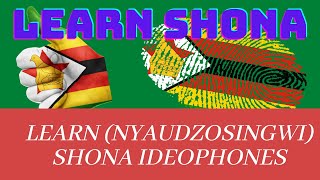 Learn Shona Ideophones Nyaudzosingwi quotmbuu ndoo naquot Ep 1 tutorials shonaland Shona tutorials [upl. by Tak]