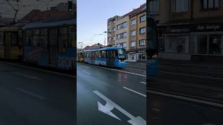 PILSEN  Morning city tram 🚊 on Klatovská street  4K trams [upl. by Faxon21]