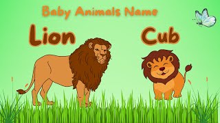 Baby Animals Name Song  Kids Vocabulary  Learn Baby Animals Name  Baby Songs [upl. by Malaspina]