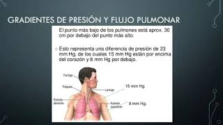 CIRCULACIÓN PULMONAR Fisiología [upl. by Buchbinder]