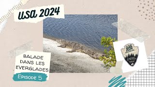 USA 2024  ep05  Everglades national park 🐊 [upl. by Emyaj]