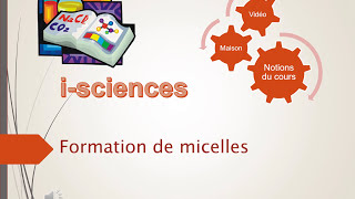 Formation de micelles [upl. by Etteloiv]