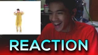 PPAP Pen Pineapple Apple Pen REACTION INDONESIA [upl. by Kenwood286]