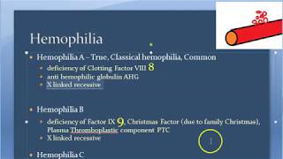 Pathology 300 a Hemophilia haemophilia royal disease coagulation x linked clotting factor 8 VIII [upl. by Yelmene857]