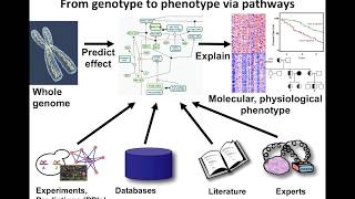 Introduction to Pathway and Network Analysis [upl. by Hadlee]