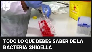 Bacteria Shigella en EEUU a quiénes afecta cómo se transmite y cuáles son sus síntomas [upl. by Oshinski116]