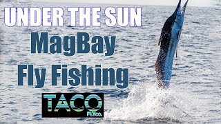 Under the Sun  Magdalena Bay fly fishing with Taco Fly Fishing Company [upl. by Ezara]