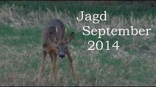 Jagd September 2014 [upl. by Asyle166]