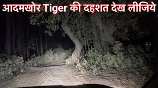 Khatima Forest Night Drive  Khatima Tiger Attack 2024  Uttarakhand Tiger Terror tigerattack [upl. by Adnwahsar]