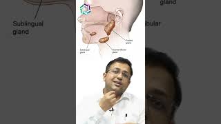 Spotlight on Salivary Gland Cancer Everything you need to know  Dr Amit Chakraborty Mumbai [upl. by Dlonra]