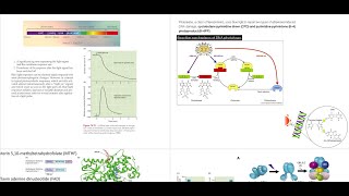 Plant Physiology Photoreceptors in Plants Cryptochrome [upl. by Ettennat]