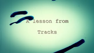 A Lesson from Tracks video essay [upl. by Nepil321]