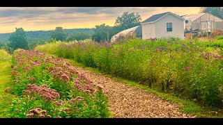 Ecotypes Ecoregions and Ecological Restoration The Ecotype Project [upl. by Zelten721]