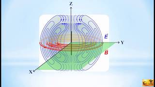 CST Tutorial Halfwave Dipole Simulation Boundary Conditions amp Mesh Generation [upl. by Llerrat]