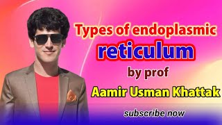 Types of endoplasmic reticulum class 11by Prof Aamir usman ktk [upl. by Myo]