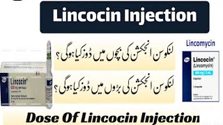 Lincocin Injection PriceUses And BenefitsSide EffectsBest injection for AcneAllergy [upl. by Adnohsed]