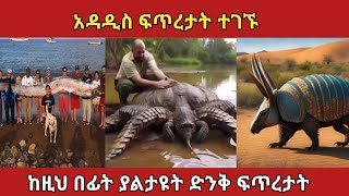 ማንም ይኖራሉ ብሎ የማይገምታቸው አዳዲስ እንስሳት amazing animalszena አስገራሚ amazingfacts [upl. by Greenes]