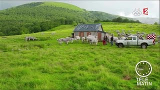 Marchés  Un été en Ariège [upl. by Christabelle]