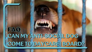 FAQ Can An AntiSocial Dog Come To Daycare amp Board Yes If We Can Correct  Safely Handle The Dog [upl. by Nibor]