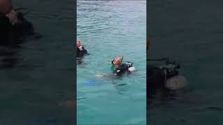 SCUBA Diving Tangalooma Wrecks [upl. by Decamp390]