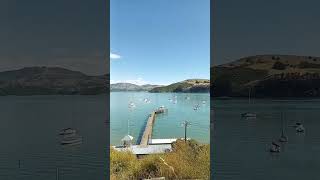 BEST VIEW IN AKAROA NZ [upl. by Anegroeg]