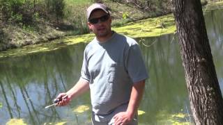 DIY Pond Aerator Using Septic Pump [upl. by Ablasor878]