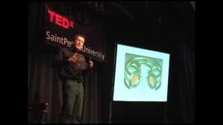 Fusion Energy Utopian or Practical Andrew Zwicker at TEDxSaintPetersUniversity [upl. by Rehpotsirh]