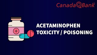 Acetaminophen Toxicity  Poisoning [upl. by Humfrey]