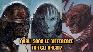 Quali sono le differenze tra gli Orchi [upl. by Doll]