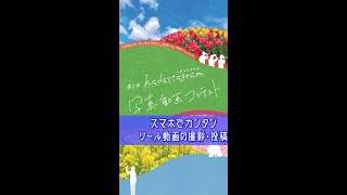 【初心者向け】よく分かる リール動画の作り方 [upl. by Eelyahs]