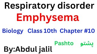 emphysema class 10Respiratory disordersemphysema in pashto poshtoBioExplorer [upl. by Lysander]