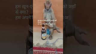 video🐒🐒 Monj d🦧🦧ancig 🐒🐒🐒Gmane😁😁 [upl. by Smada]