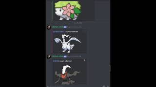 How to get Legendaries in pokecord fast no cheats or hacks Link the description [upl. by Toscano]