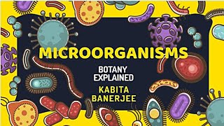 Actinomycetes or Mould Bacteria in Hindi [upl. by Ecnarrat781]