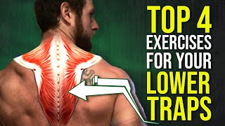 Top 4 Lower Trapezius Exercises for Better Shoulder Posture amp Function [upl. by Thorsten]